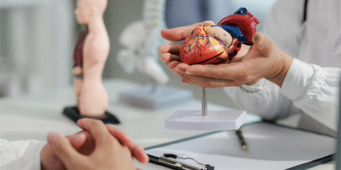 Collaborative Pathways: Advancing Organ Donation Through Interprofessional Education