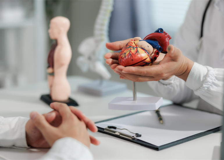 Collaborative Pathways: Advancing Organ Donation Through Interprofessional Education