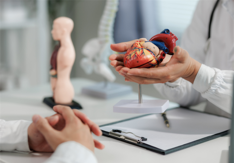 Collaborative Pathways: Advancing Organ Donation Through Interprofessional Education