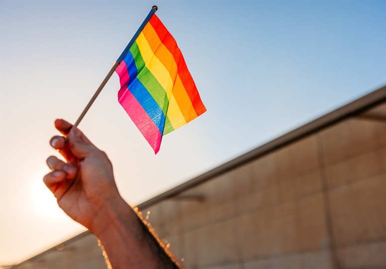 Pride in Adversity: Planning, Implementing, and Evaluating LGBTQIA+ Education in a Complicated Time